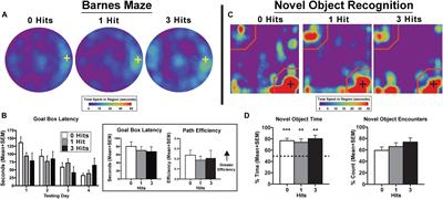 Neuroradiological Changes Following Single or Repetitive Mild TBI